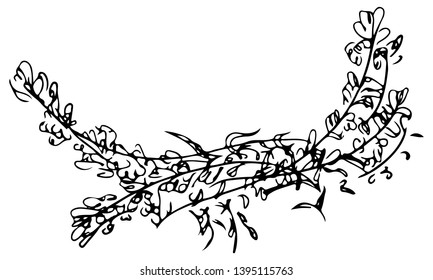Hand drawn illustration of abstract roses or peonies flowers isolated on white. Floral design elements for invitations, greeting cards, posters, blogs. Hand drawn vector illustration. Line art. Sketch