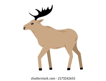 Hand drawn illustration with adorable moose. Cute forest character. Vector lovely elk in flat style isolated on white background. Cartoon woodland creature. Childish colorful illustration