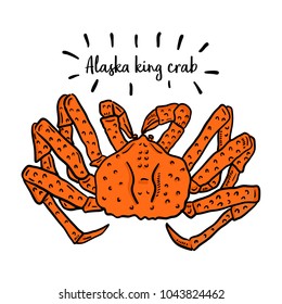 Hand Drawn Illustration Of Alaska King Crab.