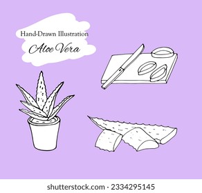 Hand drawn illustration of Aloe Vera set. Sketch of aloe vera elements. Vector silhouettes of botanical plant. Cosmetic products vector illustration