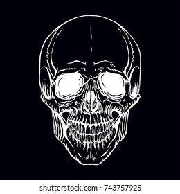 hand drawn illustration of anatomy human skull with a lower jaw isolated on a black background