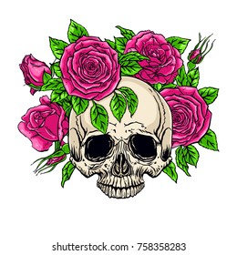 hand drawn illustration of anatomy human skull with a roses wreath