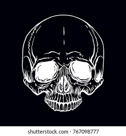 hand drawn illustration of anatomy human skull without a lower jaw