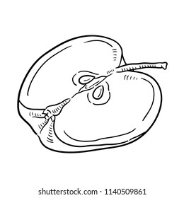 Hand drawn illustration of apple.