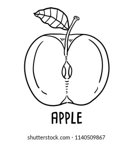 Hand drawn illustration of apple.