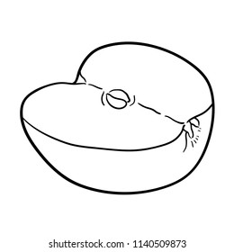 Hand drawn illustration of apple.