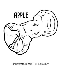 Hand drawn illustration of apple.