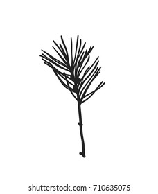 Hand drawn illustration autumn object. Creative ink art work. Actual vector drawing coniferous twig