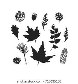 Hand drawn illustration autumn object. Creative ink art work. Actual vector drawing leaf and twig