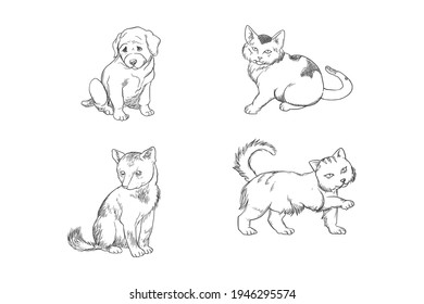 Hand drawn illustration of baby dog and cat