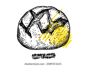 Hand drawn illustration of baked bread bun. Bakery collection templates for menu design, flyers and brochures. Engraving style hand drawn sketch, vector illustration. 