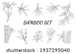 Hand drawn illustration with bamboo stem and leaves. Set of bamboo tree leaves. Hand drawn botanical collection. 