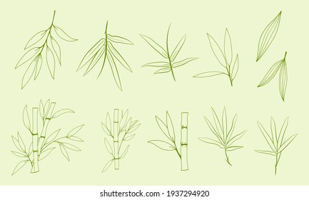 Hand drawn illustration with bamboo stem and leaves. Set of bamboo tree leaves. Hand drawn botanical collection. Silhouettes and shapes of bamboo plants for design.