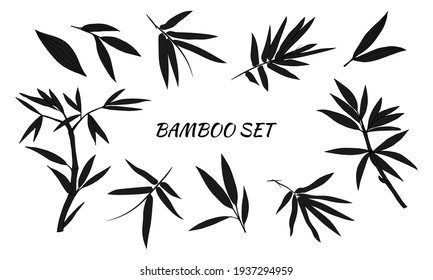 Hand drawn illustration with bamboo stem and leaves. Set of bamboo tree leaves. Hand drawn botanical collection. 