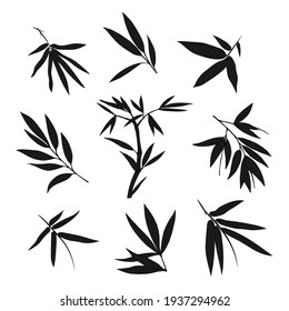 Hand drawn illustration with bamboo stem and leaves. Set of bamboo tree leaves. Hand drawn botanical collection. 