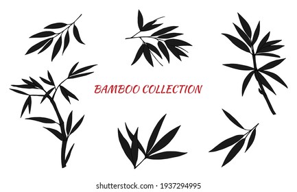 Hand drawn illustration with bamboo stem and leaves. Set of bamboo tree leaves. Hand drawn botanical collection. 
