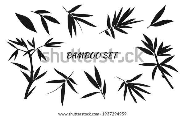 Hand drawn
illustration with bamboo stem and leaves. Set of bamboo tree
leaves. Hand drawn botanical collection.
