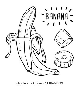 Hand drawn illustration of banana.
