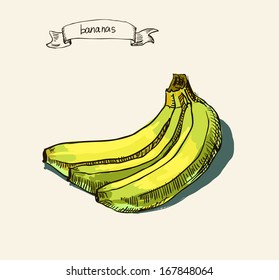 Hand drawn illustration of banana