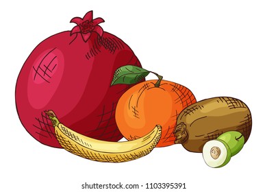 Hand drawn illustration of banana, plum, peach, ziziphus, voavanga. Set og fruits. Colorful sketches elements