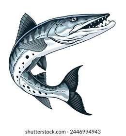 Hand Drawn Illustration of Barracuda Fish Vintage