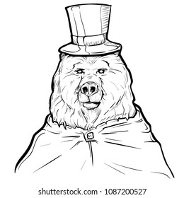 Hand drawn illustration of bear in a top hat