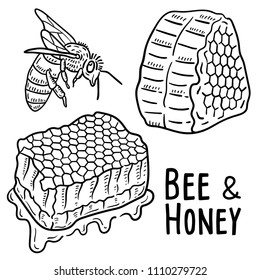 Hand drawn illustration of Bee and Honey.