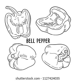 Hand drawn illustration of Bell pepper.