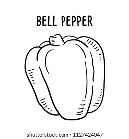 Hand drawn illustration of Bell pepper.