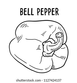 Hand drawn illustration of Bell pepper.
