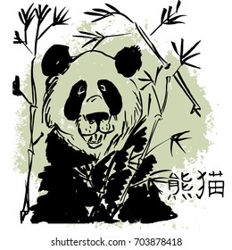 Hand drawn illustration of big chinese panda. Ink drawing. 