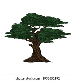 hand drawn illustration of big tree