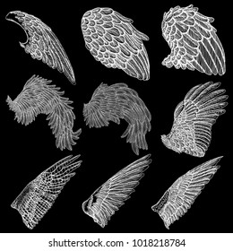 Hand drawn illustration of bird wings. Card, poster, t-shirt, smart phone, CD print design. Vector set.