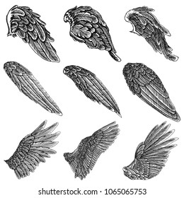 Hand drawn illustration of bird wings. Card, poster, t-shirt, smart phone, CD print design. Vector set.