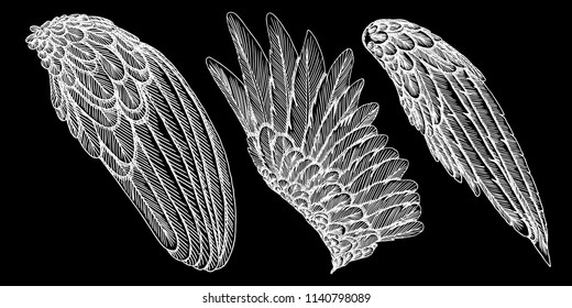 Hand drawn illustration of bird wings. Card, poster, t-shirt, smart phone, CD print design. Vector set.