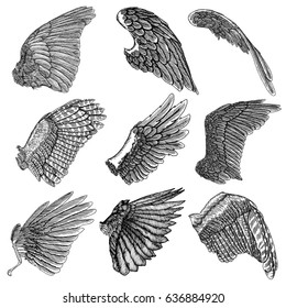 Hand drawn illustration of bird wings. Card, poster, t-shirt, smart phone, CD print design. Vector set.