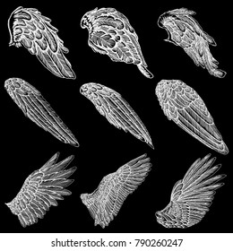 Hand drawn illustration of bird wings. Card, poster, t-shirt, smart phone, CD print design. Vector set.