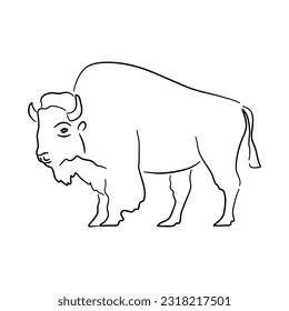 Hand drawn illustration of a Bison. Vector isolated on a white background.