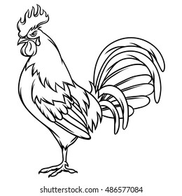 Hand drawn illustration of black rooster on white background.
