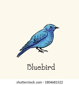 Hand drawn illustration of blue bird in vintage style. Grainy retro style.