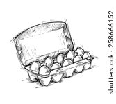 Hand drawn illustration - Box of Eggs on white background. Sketch. Vector.