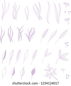 Hand drawn illustration of branches and leaves. Design elements. Vector illustration
