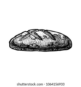 Hand drawn Illustration of bread in vintage engraved style. isolated on white. Side view