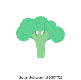 Icono de brócoli dibujado a mano en estilo plano, aislado en fondo blanco. Ilustración vectorial moderna.