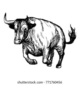 hand drawn illustration of bull on white background