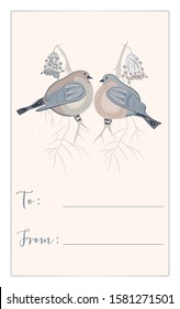 Hand drawn illustration of the bullfinches on tree branches in nordic color palette suitable for print and web use
