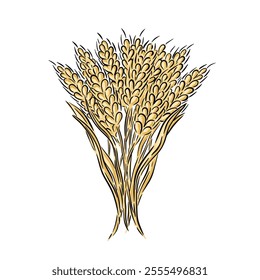 Hand drawn illustration bunch of wheat sheaves symbolizing harvest isolated on white vector illustration