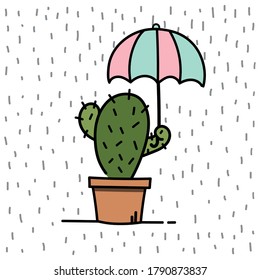 Hand drawn illustration of cactus in the rain.