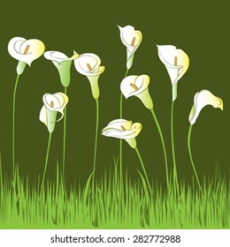 Hand drawn illustration of a calla garden card over a dark green background