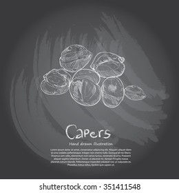 Hand drawn illustration of Capers. chalkboard